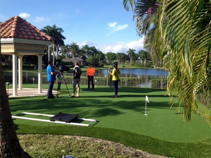 Outdoor Carpet Hampton, Florida Putting Greens, Backyard Landscaping Ideas