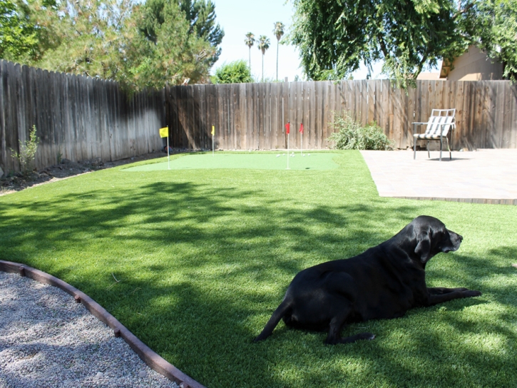 Plastic Grass Ferndale, Florida Dog Run, Backyard Landscaping