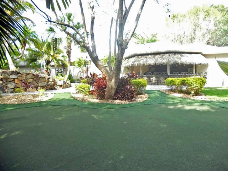 Plastic Grass La Crosse, Florida Lawns, Commercial Landscape