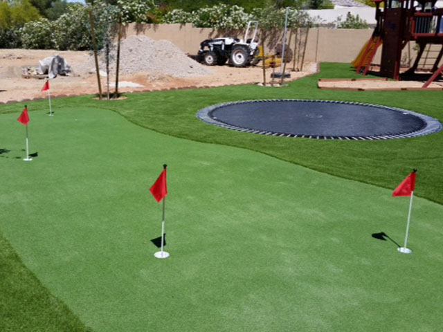 Plastic Grass Monticello, Florida Golf Green, Backyard Garden Ideas