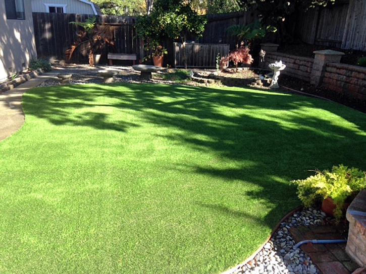 Plastic Grass Oak Hill, Florida Dogs, Backyard Makeover