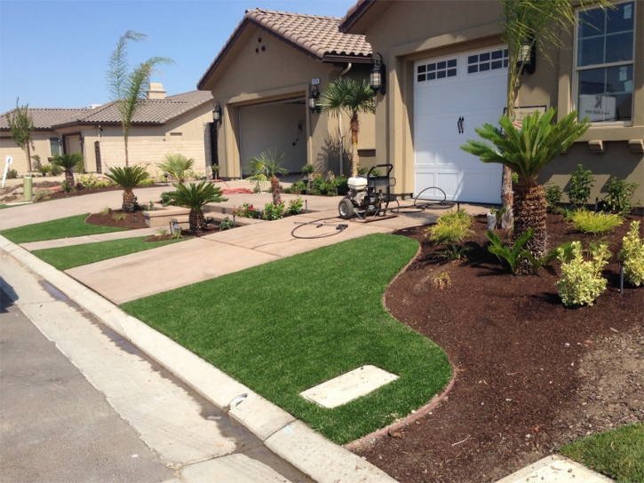 Plastic Grass South Apopka, Florida Landscaping Business, Front Yard Landscaping