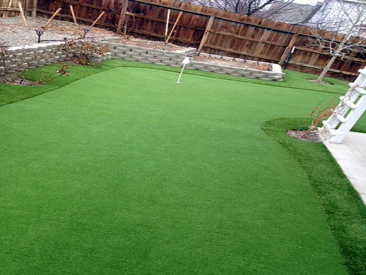 Synthetic Grass Cost Beverly Hills, Florida Putting Green Carpet, Beautiful Backyards