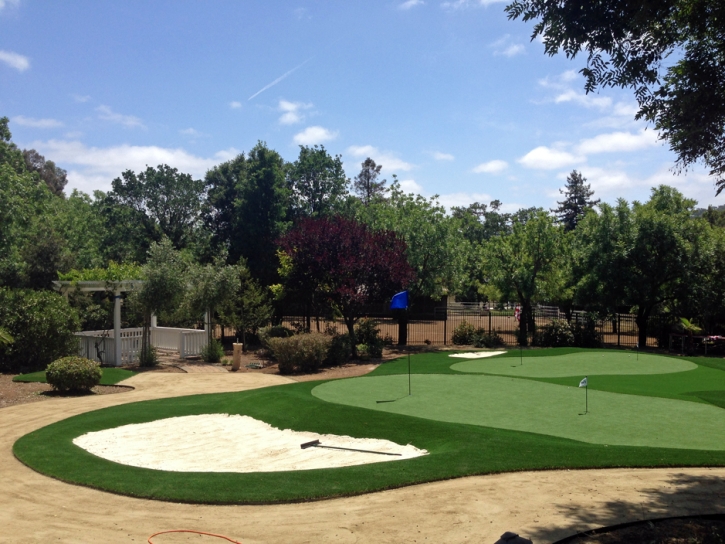 Synthetic Grass Cost Deltona, Florida How To Build A Putting Green, Small Front Yard Landscaping
