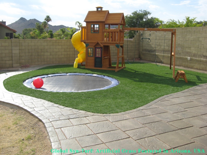 Synthetic Grass Cost Middleburg, Florida Lawns, Backyard Landscaping Ideas