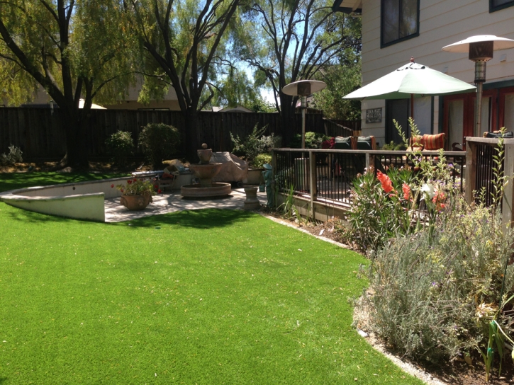 Synthetic Grass Cost Paradise Heights, Florida Paver Patio, Backyard Design