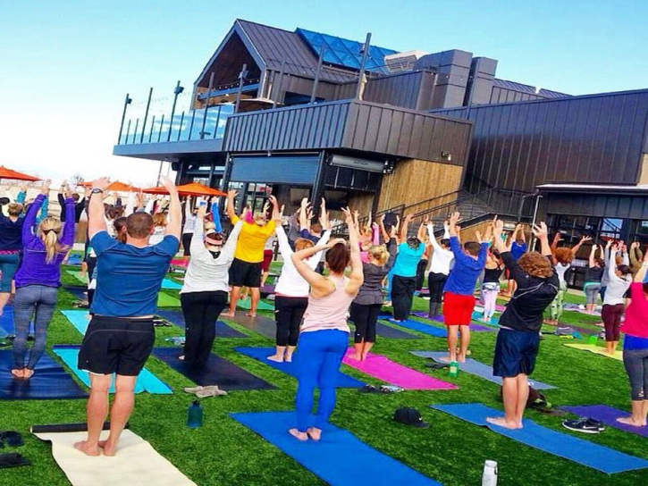 Synthetic Grass Cost Ponce Inlet, Florida Sports Turf, Commercial Landscape