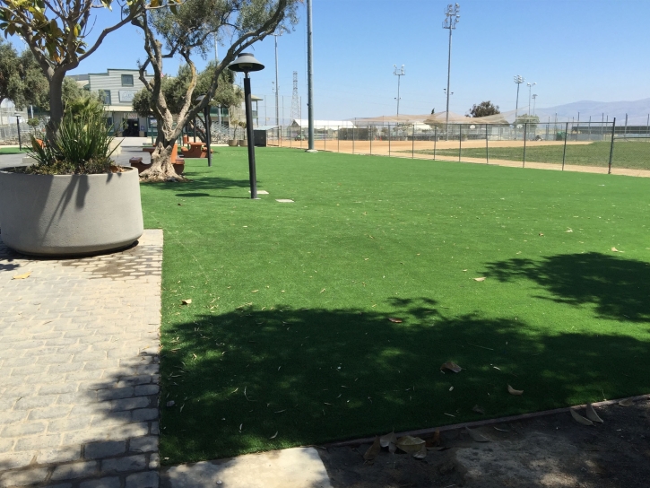 Synthetic Grass Cost Taft, Florida Landscape Ideas, Recreational Areas