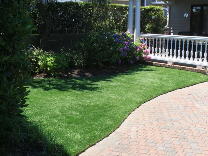 Synthetic Grass Cost Winter Park, Florida Landscaping, Front Yard Design