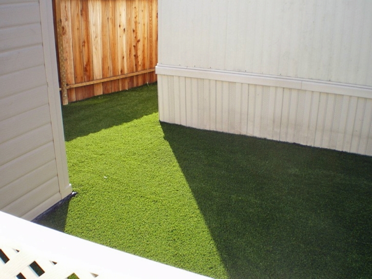 Synthetic Grass High Springs, Florida Landscape Rock, Backyard Designs