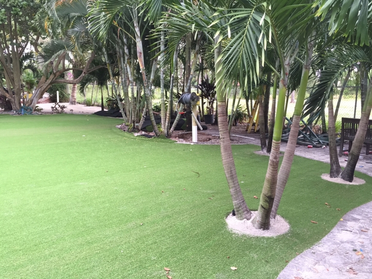 Synthetic Grass Holden Heights, Florida Landscape Rock, Commercial Landscape