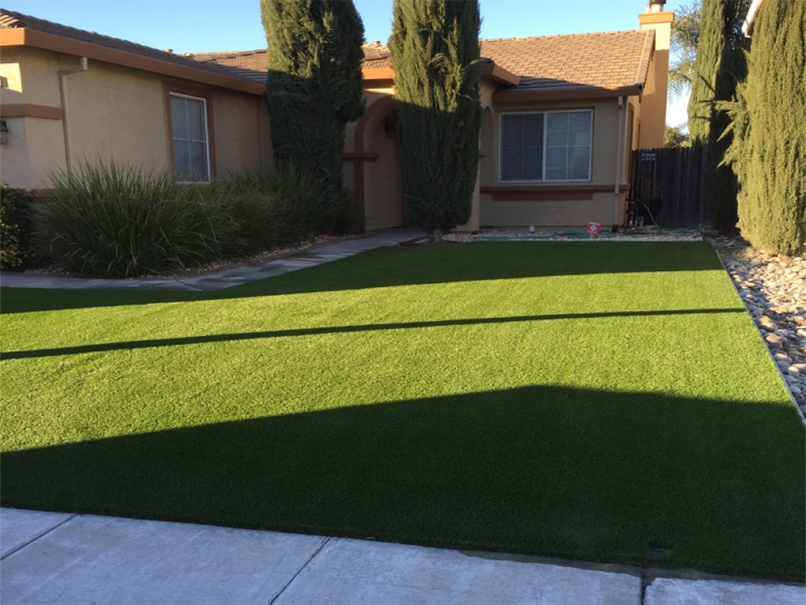 Synthetic Grass Oviedo, Florida Landscape Photos, Landscaping Ideas For Front Yard