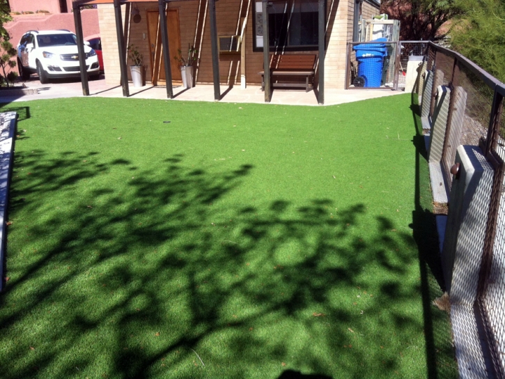 Synthetic Grass Steinhatchee, Florida Roof Top, Backyard Landscaping Ideas
