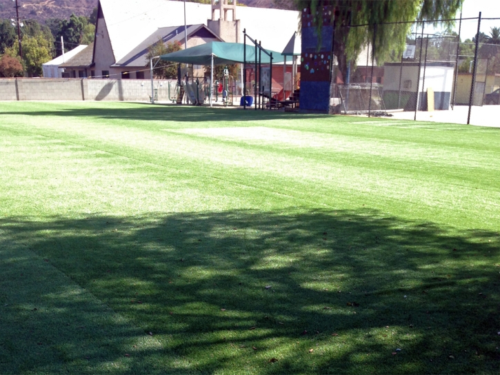 Synthetic Lawn Brooksville, Florida Backyard Sports, Parks