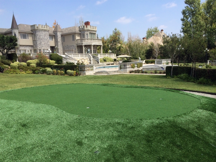 Synthetic Lawn Hastings, Florida Diy Putting Green, Front Yard