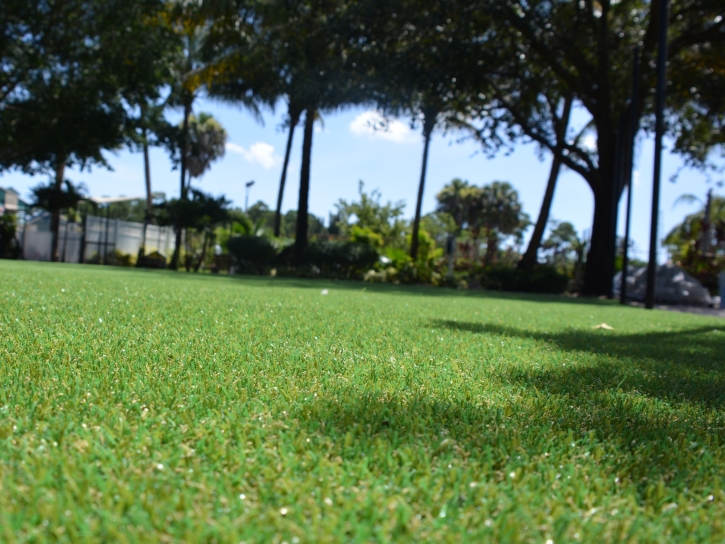 Synthetic Lawn Lake Lindsey, Florida Backyard Playground, Recreational Areas