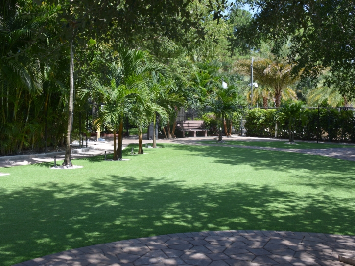 Synthetic Lawn Lake Lindsey, Florida Lawn And Garden, Pavers