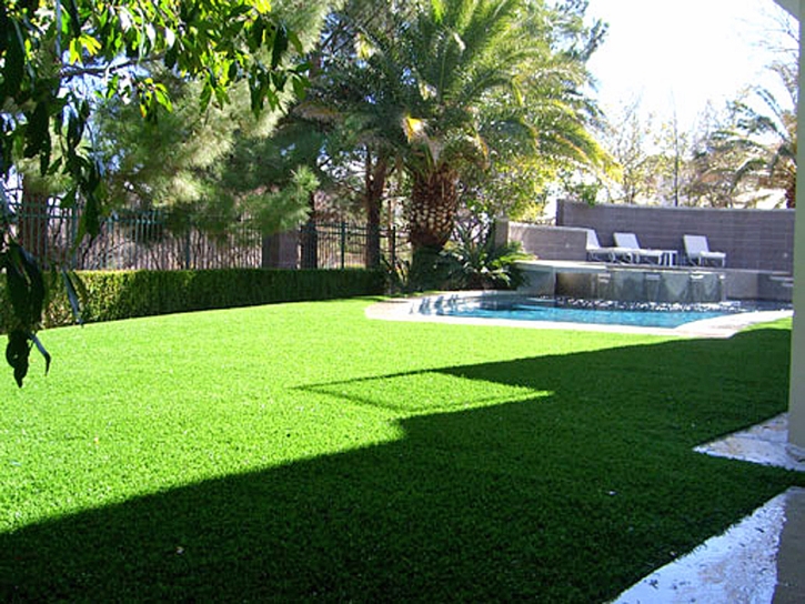 Synthetic Lawn Winter Park, Florida Lawn And Garden, Above Ground Swimming Pool
