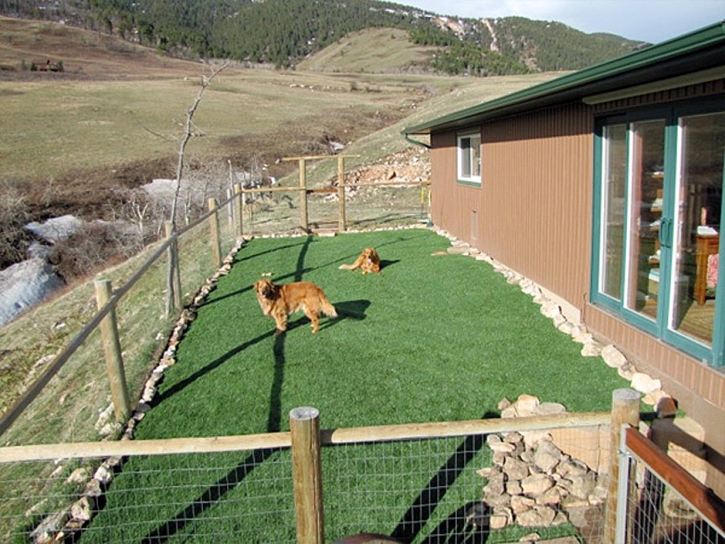 Synthetic Turf Astor, Florida Dog Run, Dog Kennels