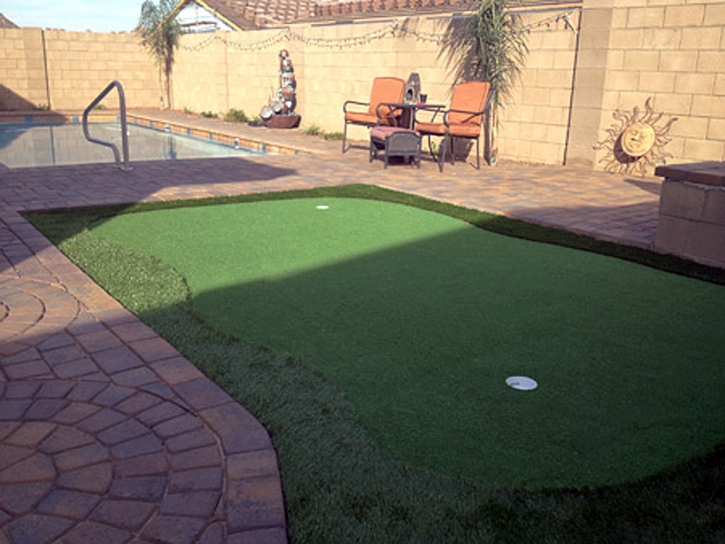Synthetic Turf Fanning Springs, Florida Backyard Putting Green, Backyard Landscape Ideas