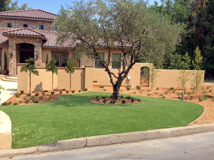 Synthetic Turf Oak Hill, Florida Roof Top, Front Yard Landscaping Ideas