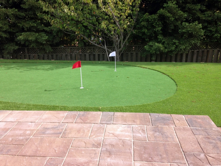 Synthetic Turf Supplier Inverness, Florida Indoor Putting Greens, Backyard Landscape Ideas