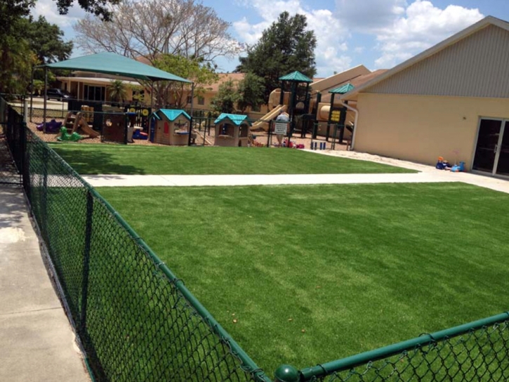 Synthetic Turf Supplier Lake City, Florida Gardeners, Commercial Landscape