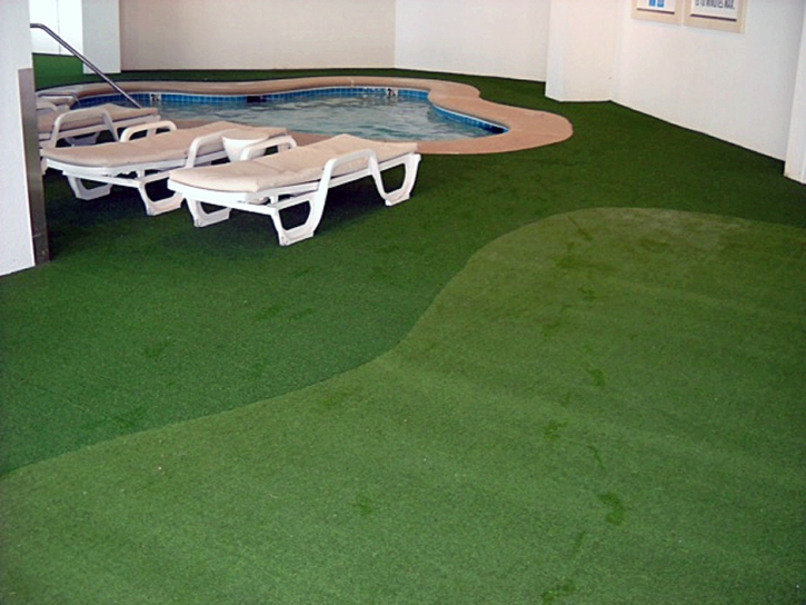 Synthetic Turf Supplier Lockhart, Florida Landscape Photos, Natural Swimming Pools