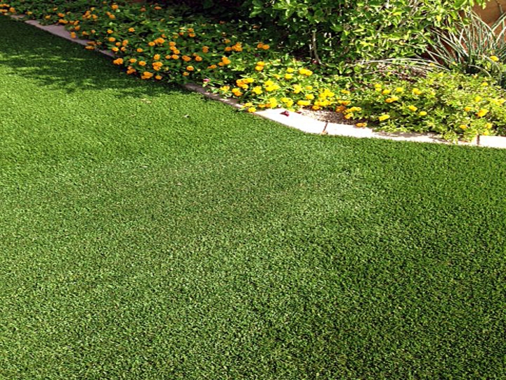 Turf Grass Spring Lake, Florida Landscape Design, Front Yard Design