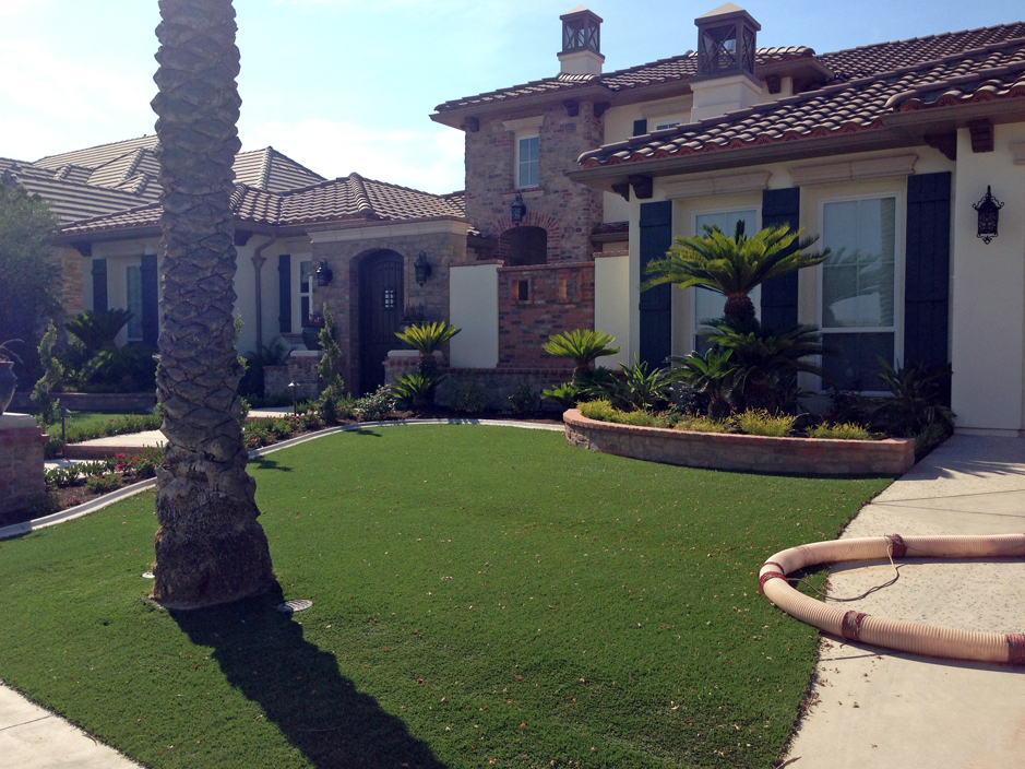 Grass Carpet Wekiwa Springs Florida, Landscaping Ideas In Florida Front Yard