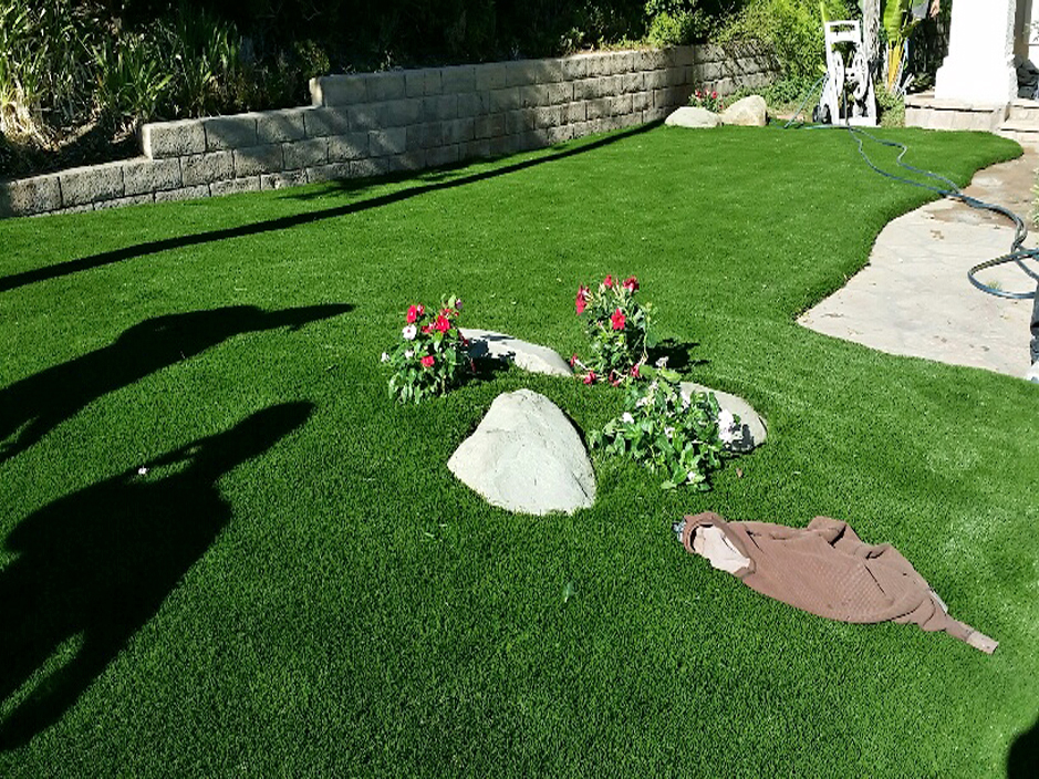 Grass Carpet West Deland Florida Home, Landscaping Deland Fl